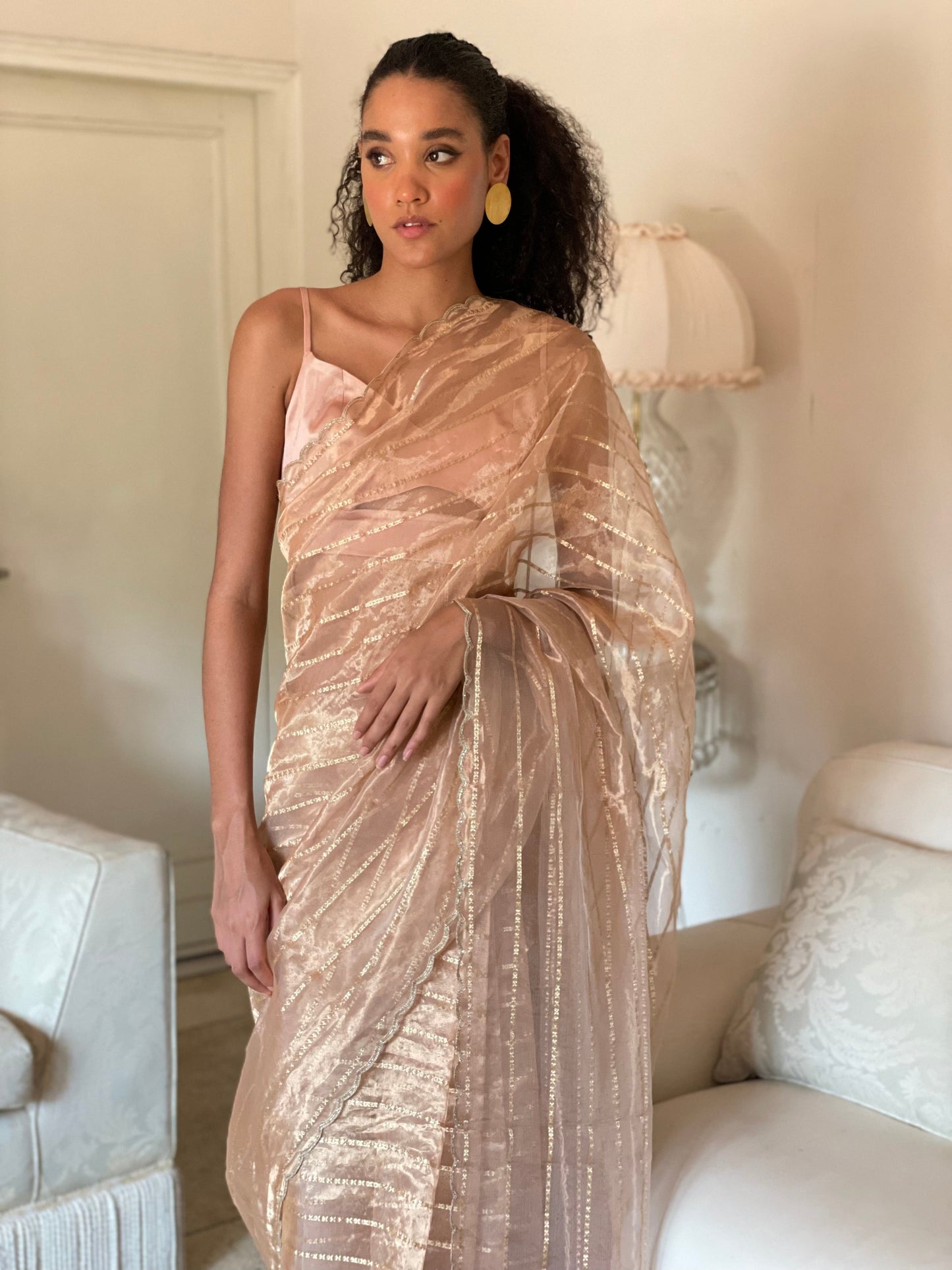 Almond Tissue Saree
