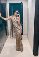 Handwoven Silver Tissue Organza Silk Saree
