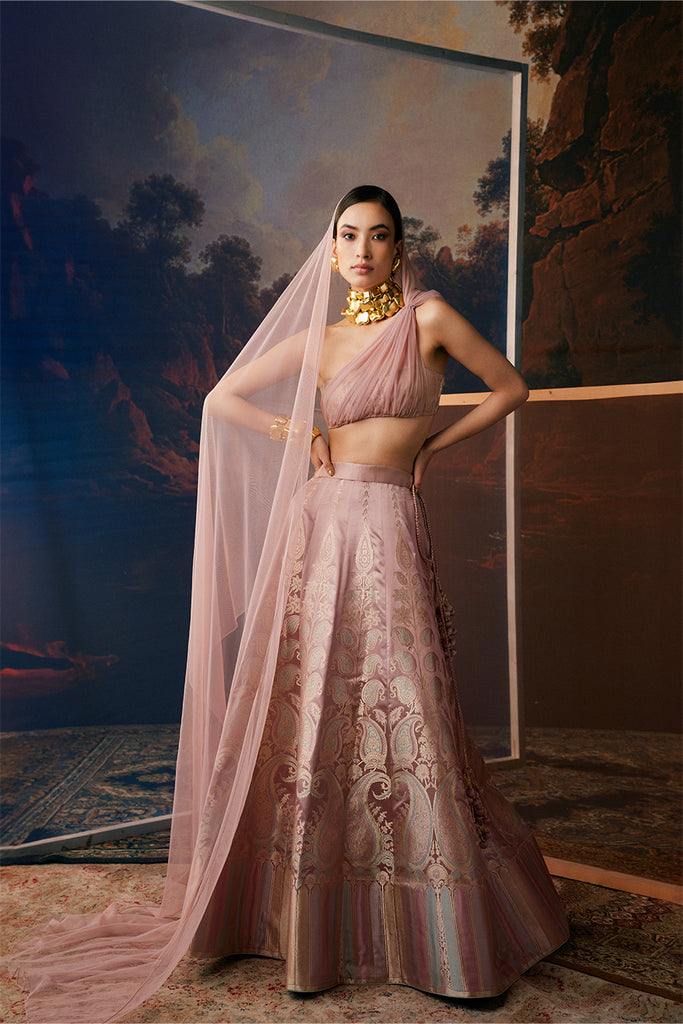 Nikita Dutta in Handwoven Blush Pink Silk Lehenga