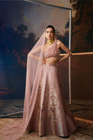 Nikita Dutta in Handwoven Blush Pink Silk Lehenga