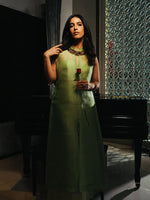 Handwoven Pistachio Green Silk Banarasi Suit