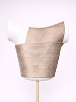 Handwoven Champagne Brocade Banarasi