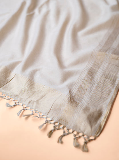 Handwoven Beige Tissue Organza Dupatta