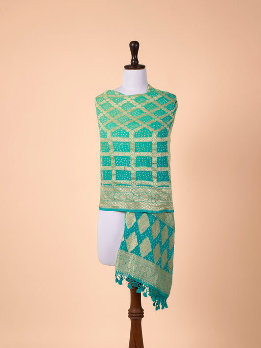 Handwoven Multicolour Georgette Dupatta