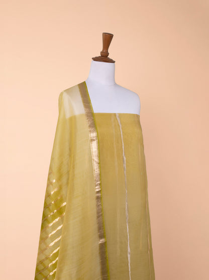 Handwoven Green Organza Suit Piece