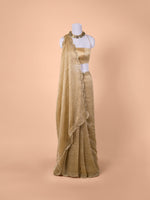 Handwoven Antique Tissue Saree