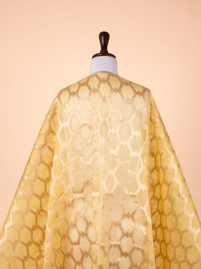 Handwoven Gold Organza Dupatta