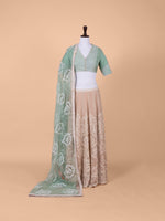 Handwoven Multicolour Chanderi Tissue Lehenga