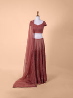 Handwoven Peach Chanderi Tissue Lehenga