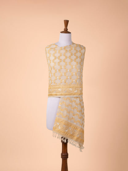 Handwoven Beige georgette Dupatta