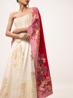 Handwoven Red Silk Banarasi Shawl