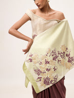 Handwoven Mint Green Silk Banarasi Shawl