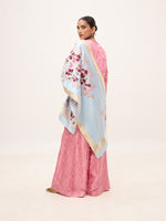Handwoven Ice Blue Silk Banarasi Shawl