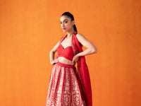 Handwoven Red Silk Lehenga
