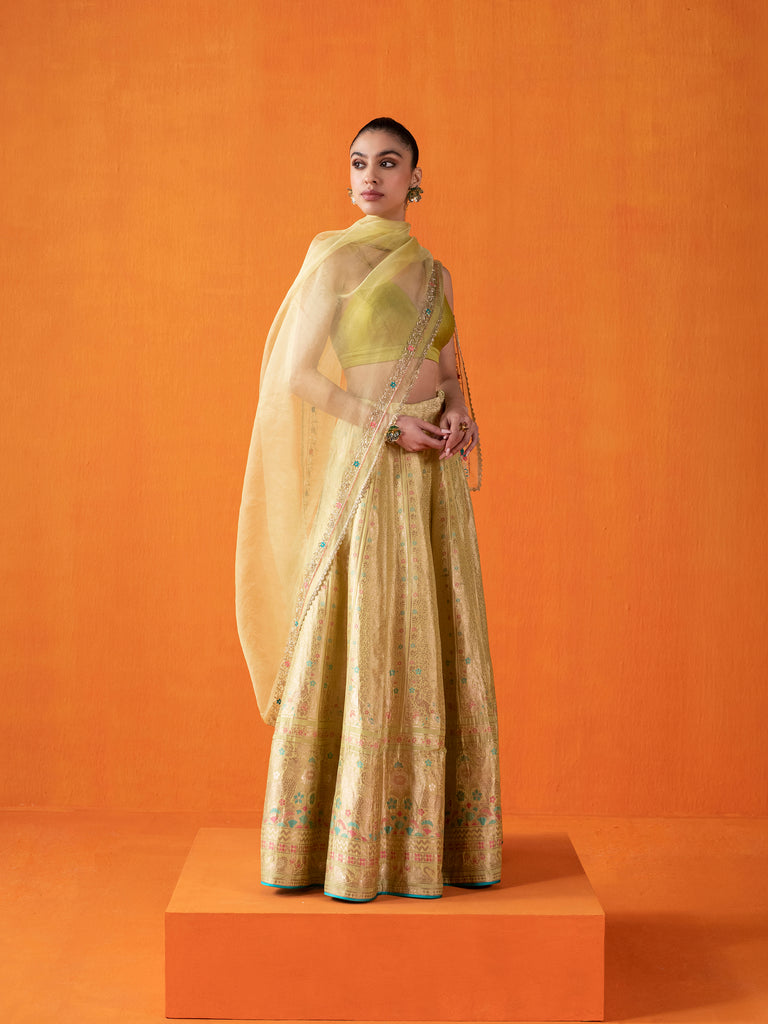 Handwoven Green Silk Lehenga