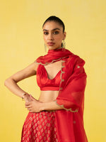 Handwoven Red Silk Lehenga