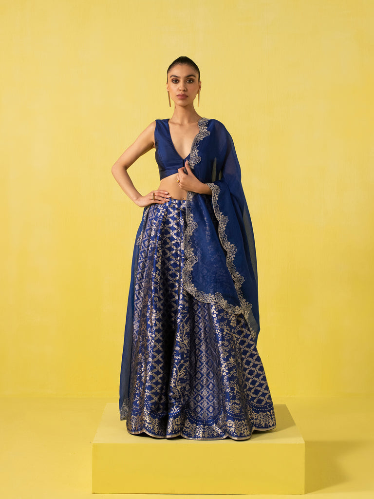Handwoven Blue Silk Lehenga