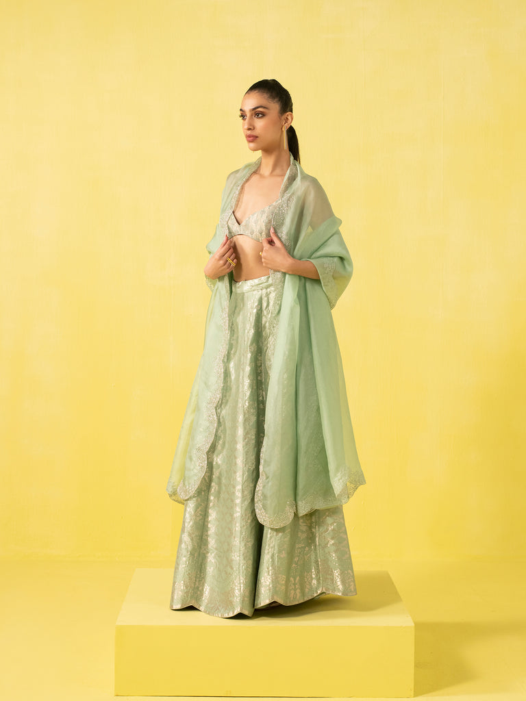 Handwoven Green Silk Lehenga