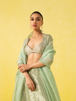 Handwoven Green Silk Lehenga
