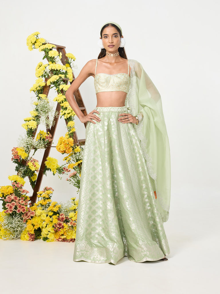 Handwoven Pale Green Banarasi Lehenga