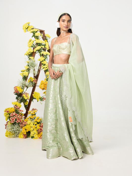 Handwoven Pale Green Banarasi Lehenga