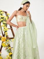 Handwoven Pale Green Banarasi Lehenga
