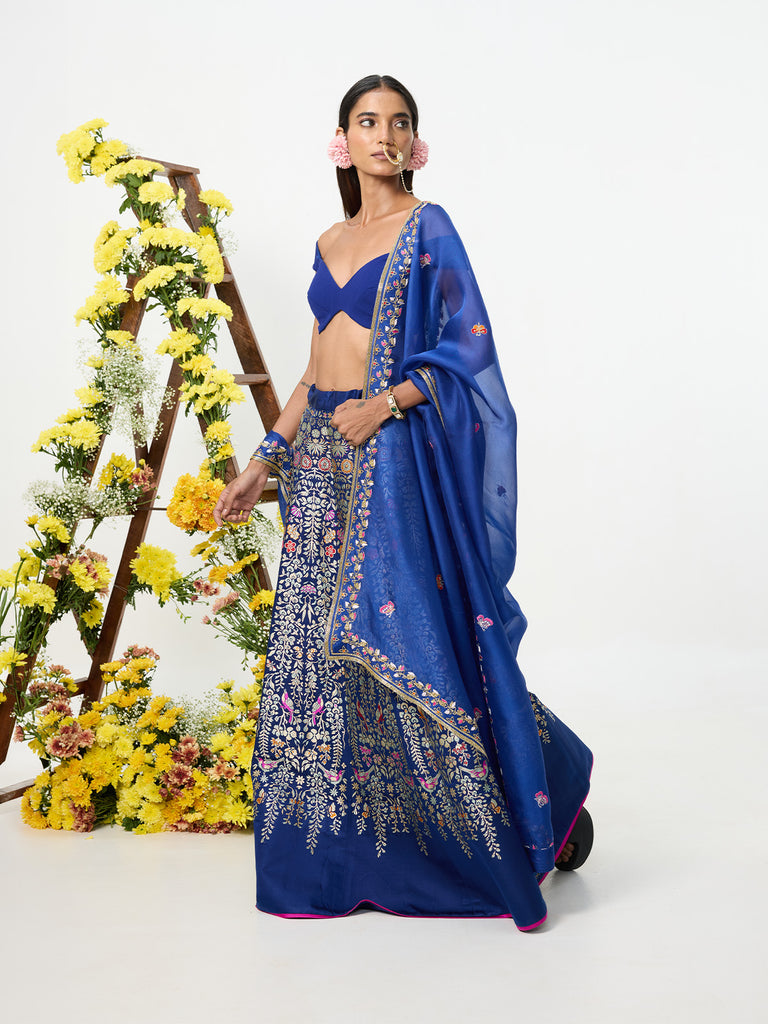 Handwoven Navy Blue Banarasi Lehenga