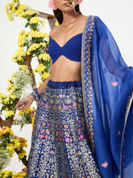 Handwoven Navy Blue Banarasi Lehenga