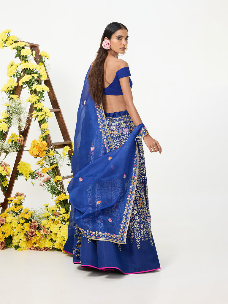 Handwoven Navy Blue Banarasi Lehenga
