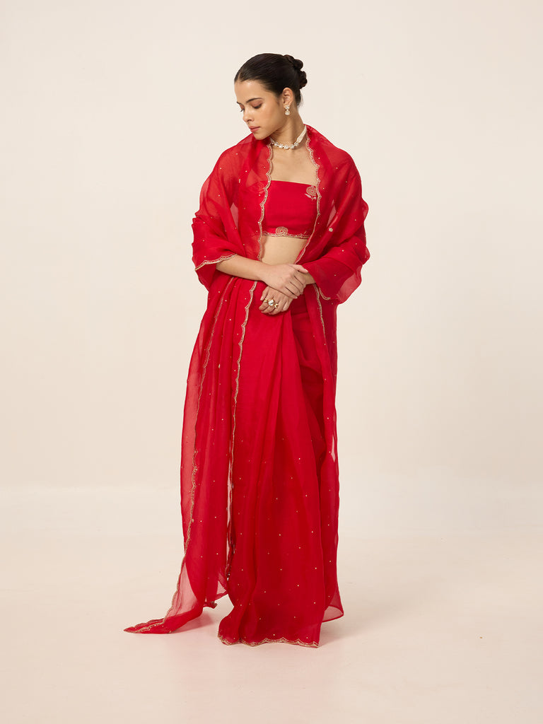 Handwoven Ruby Red Organza Saree