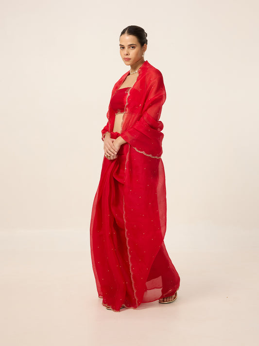 Handwoven Ruby Red Organza Saree