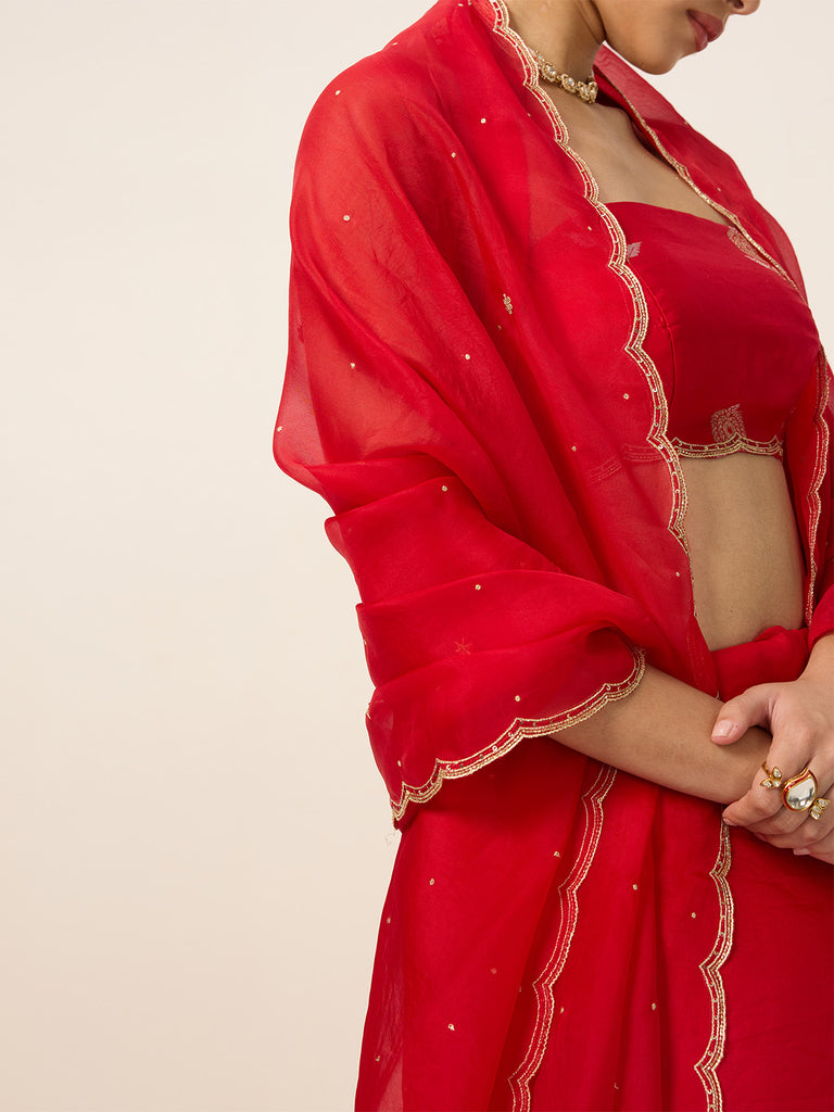 Handwoven Ruby Red Organza Saree