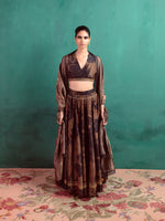Cedar Brown Hand-Embroidered Lehenga