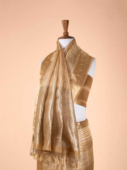 Handwoven Gold Tissue Saree