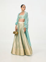 Handwoven Gold Tissue Banarasi Lehenga