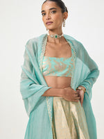 Handwoven Gold Tissue Banarasi Lehenga