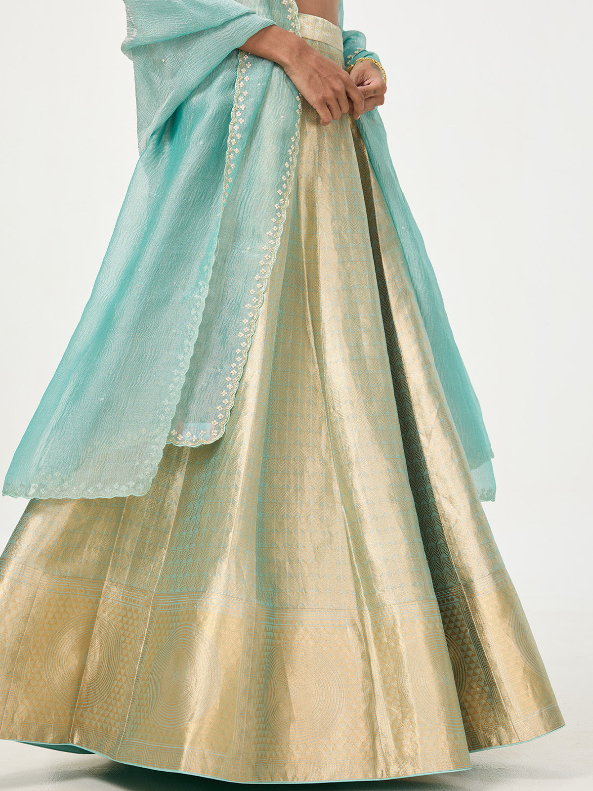 Handwoven Gold Tissue Banarasi Lehenga