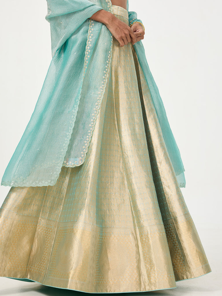 Handwoven Gold Tissue Banarasi Lehenga