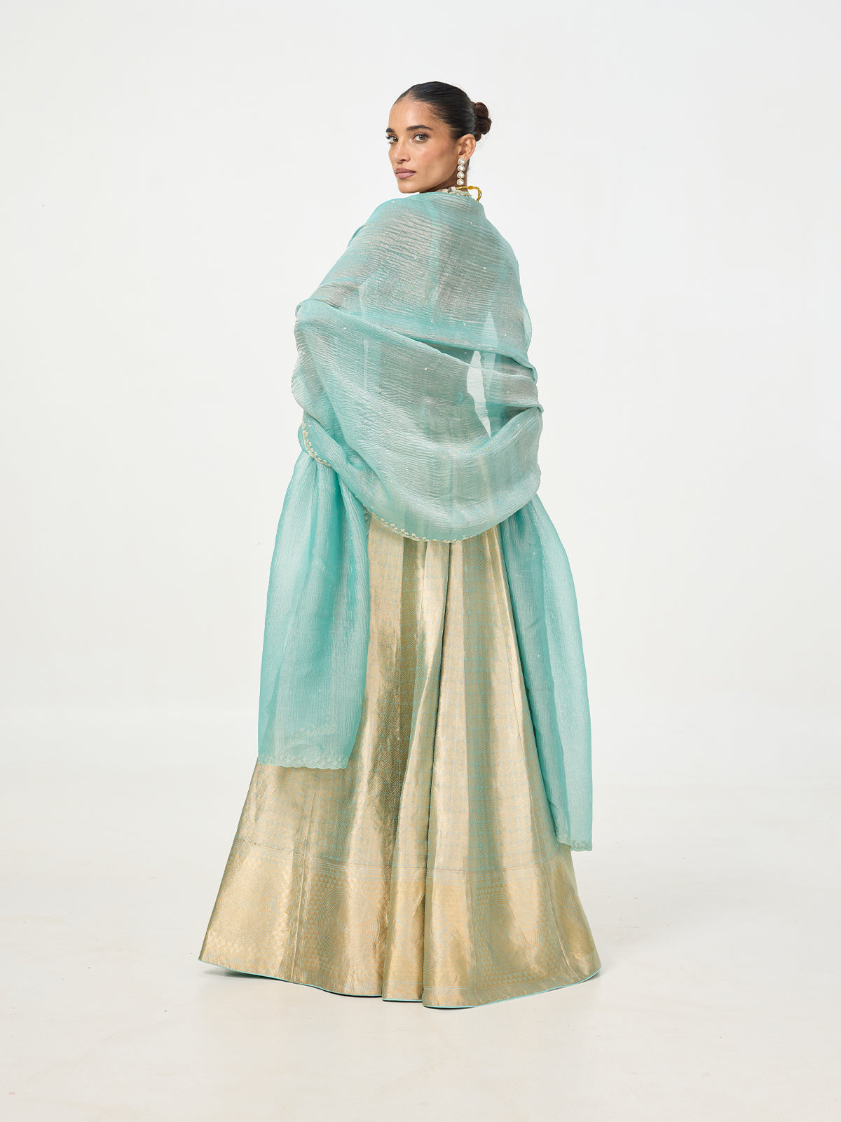 Handwoven Gold Tissue Banarasi Lehenga