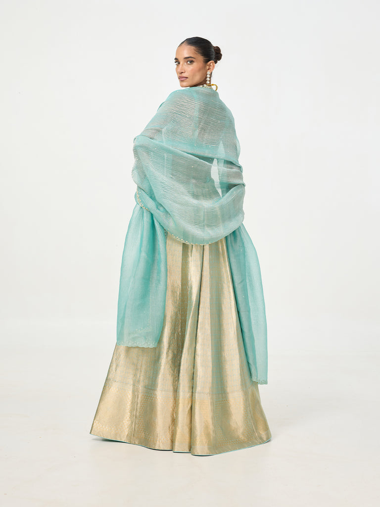 Handwoven Gold Tissue Banarasi Lehenga
