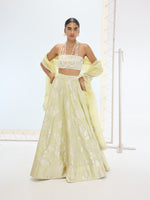 The Sylvie Lehenga Set In Pistachio