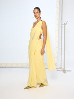 Soft Yellow Movable Brooch Saree