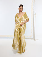 Handwoven Golden Ember Tissue Saree