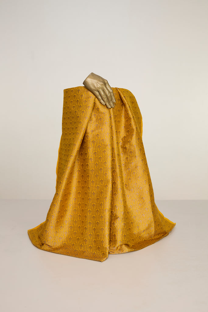 Handwoven Champange Gold Banarasi Georgette Fabric