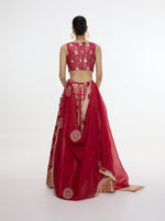 Handwoven Ruby Red Lehenga Set