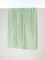 Handwoven Pistachio Cutwork Banarasi Fabric