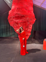 Handwoven Ruby Red Silk Saree