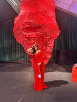 Handwoven Ruby Red Silk Saree