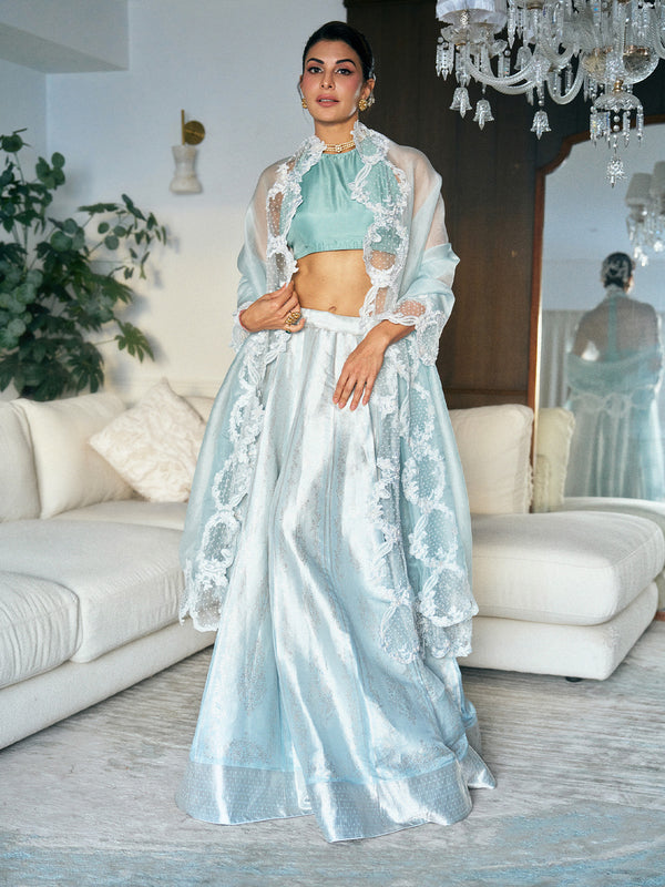 Handwoven Ice-Blue Banarasi Lehenga