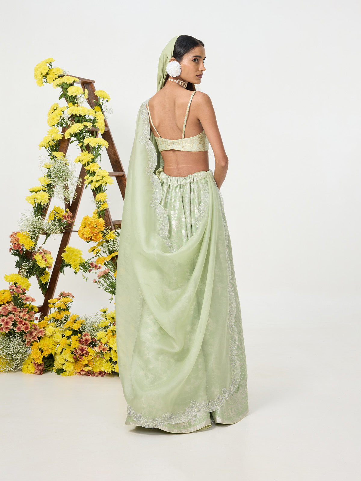 Handwoven Pale Green Banarasi Lehenga